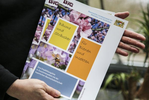 Die Broschüre zeigt, wie eine Gartengestaltung mit Bäumen und Sträuchern für Bienen und Insekten gelingt.